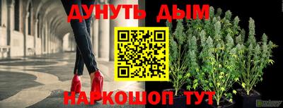 дмт Новозыбков