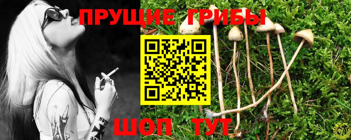 Псилоцибиновые грибы прущие грибы  Вход с VPN  Новороссийск 